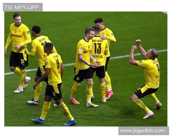 哈兰德：年轻天才如何在绿茵场上书写传奇与未来